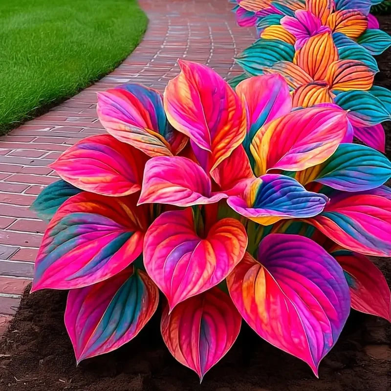 /69b4d42d05642f0009006973/2026/04/14/product-img-69ddee0af707c0639afa4a02.png